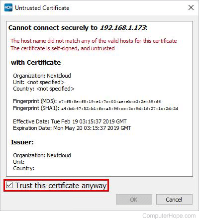 Check the box labeled Trust this certificate anyway, then click OK.