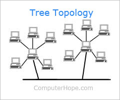 Network tree topology or star bus topology