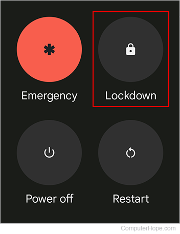 Lockdown feature on a Pixel smartphone.